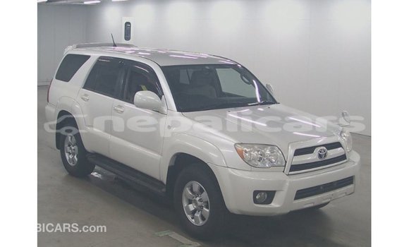 Buy Import Toyota Hilux White Car in Import - Dubai in Bagmati Buy Import Toyota Hilux White Car in Import - Dubai in Bagmati