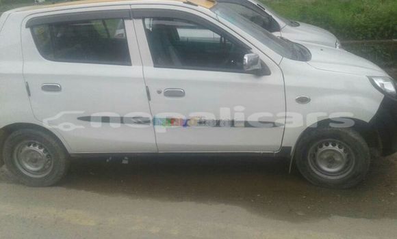 Buy Used Suzuki Alto White Car in Kathmandu in Bagmati Buy Used Suzuki Alto White Car in Kathmandu in Bagmati