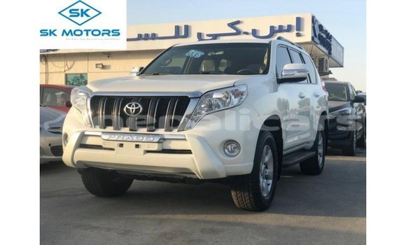 Buy Import Toyota Prado White Car in Import - Dubai in Bagmati