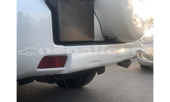 Buy Import Toyota Prado White Car in Import - Dubai in Bagmati Buy Import Toyota Prado White Car in Import - Dubai in Bagmati