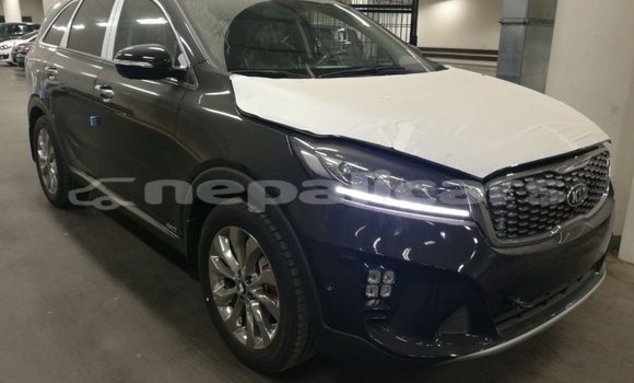 Buy Import Kia Sorento Brown Car in Import - Dubai in Bagmati Buy Import Kia Sorento Brown Car in Import - Dubai in Bagmati