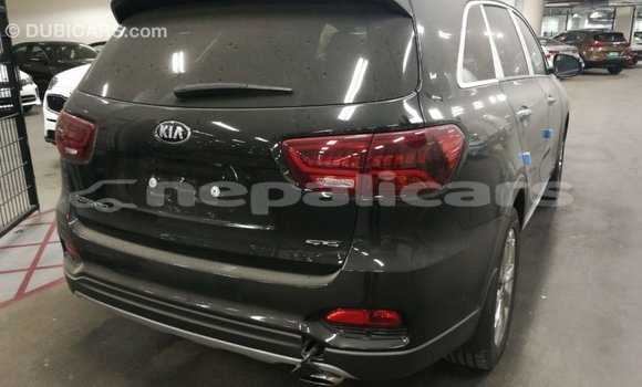 Buy Import Kia Sorento Brown Car in Import - Dubai in Bagmati Buy Import Kia Sorento Brown Car in Import - Dubai in Bagmati