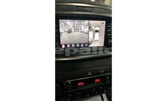 Buy Import Kia Sorento Brown Car in Import - Dubai in Bagmati Buy Import Kia Sorento Brown Car in Import - Dubai in Bagmati