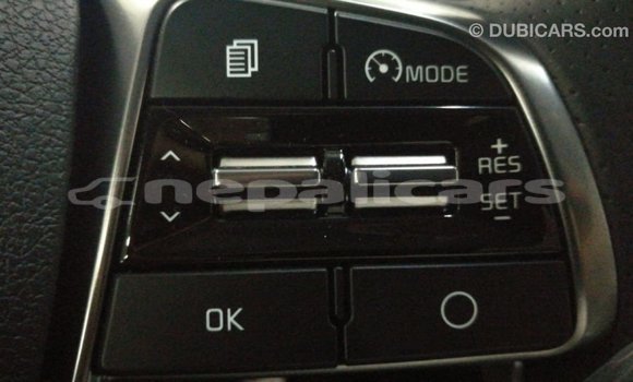 Buy Import Kia Sorento Brown Car in Import - Dubai in Bagmati Buy Import Kia Sorento Brown Car in Import - Dubai in Bagmati