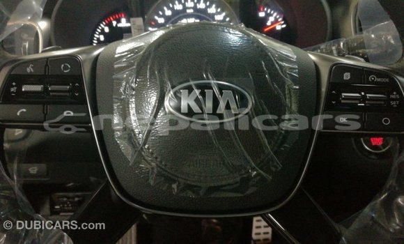 Buy Import Kia Sorento Brown Car in Import - Dubai in Bagmati Buy Import Kia Sorento Brown Car in Import - Dubai in Bagmati