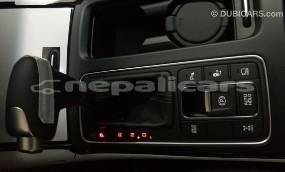 Buy Import Kia Sorento Brown Car in Import - Dubai in Bagmati Buy Import Kia Sorento Brown Car in Import - Dubai in Bagmati