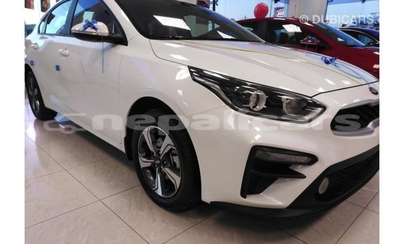 Buy Import Kia Cerato White Car in Import - Dubai in Bagmati Buy Import Kia Cerato White Car in Import - Dubai in Bagmati