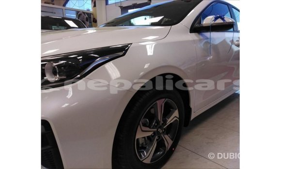 Buy Import Kia Cerato White Car in Import - Dubai in Bagmati Buy Import Kia Cerato White Car in Import - Dubai in Bagmati