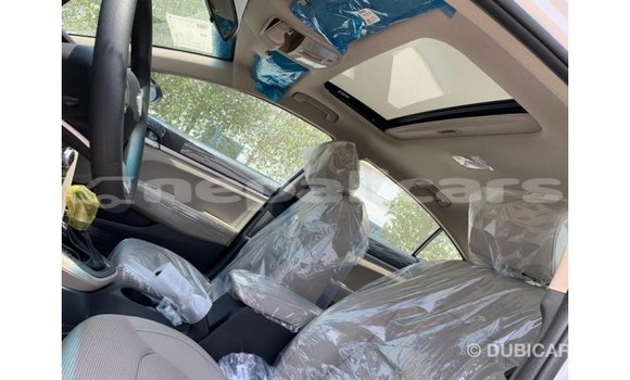 Buy Import Hyundai Elantra White Car in Import - Dubai in Bagmati Buy Import Hyundai Elantra White Car in Import - Dubai in Bagmati