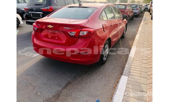 Buy Import Chevrolet Cruze Red Car in Import - Dubai in Bagmati Buy Import Chevrolet Cruze Red Car in Import - Dubai in Bagmati