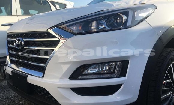 Buy Import Hyundai Tucson White Car in Import - Dubai in Bagmati Buy Import Hyundai Tucson White Car in Import - Dubai in Bagmati