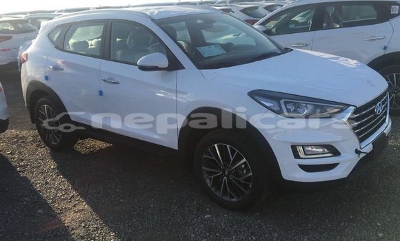 Buy Import Hyundai Tucson White Car in Import - Dubai in Bagmati Buy Import Hyundai Tucson White Car in Import - Dubai in Bagmati