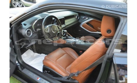 Buy Import Chevrolet Camaro Black Car in Import - Dubai in Bagmati Buy Import Chevrolet Camaro Black Car in Import - Dubai in Bagmati