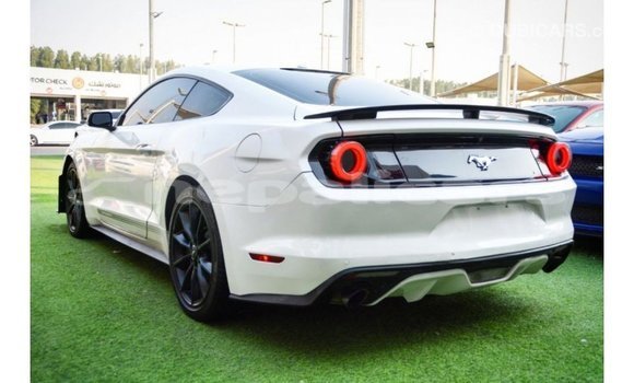 Buy Import Ford Mustang White Car in Import - Dubai in Bagmati Buy Import Ford Mustang White Car in Import - Dubai in Bagmati