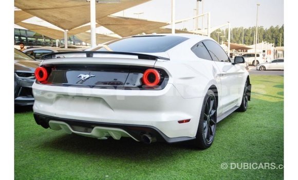 Buy Import Ford Mustang White Car in Import - Dubai in Bagmati Buy Import Ford Mustang White Car in Import - Dubai in Bagmati