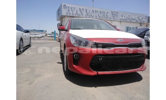 Buy Import Kia Rio Red Car in Import - Dubai in Bagmati Buy Import Kia Rio Red Car in Import - Dubai in Bagmati