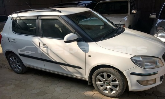 Buy Used Skoda Fabia White Car in Lalitpur in Bagmati Buy Used Skoda Fabia White Car in Lalitpur in Bagmati
