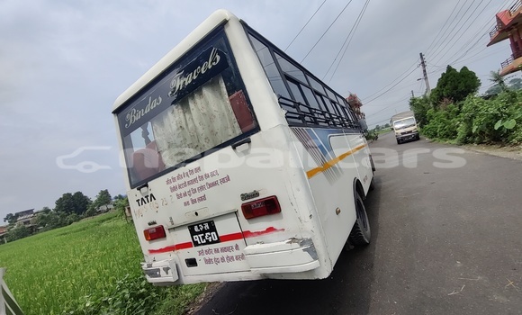 Buy Used Toyota DA White Truck in Chitwan in Narayani