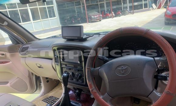 Buy Used Toyota Land Cruiser White Car in Kathmandu in Bagmati Buy Used Toyota Land Cruiser White Car in Kathmandu in Bagmati