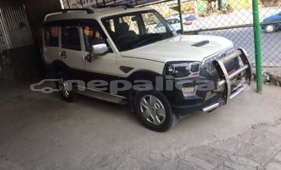 Buy Used Mahindra Scorpio White Car in Kathmandu in Bagmati Buy Used Mahindra Scorpio White Car in Kathmandu in Bagmati