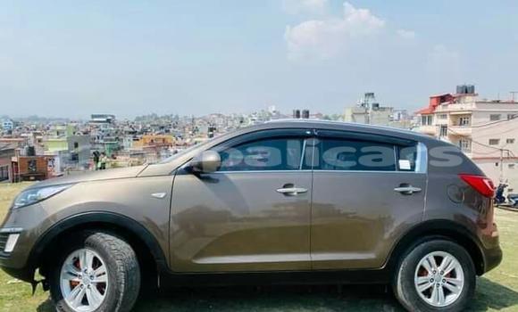 Buy Used Kia Sportage Brown Car in Kathmandu in Bagmati Buy Used Kia Sportage Brown Car in Kathmandu in Bagmati