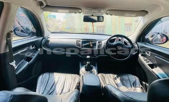 Buy Used Kia Sportage Brown Car in Kathmandu in Bagmati Buy Used Kia Sportage Brown Car in Kathmandu in Bagmati