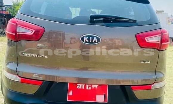Buy Used Kia Sportage Brown Car in Kathmandu in Bagmati Buy Used Kia Sportage Brown Car in Kathmandu in Bagmati