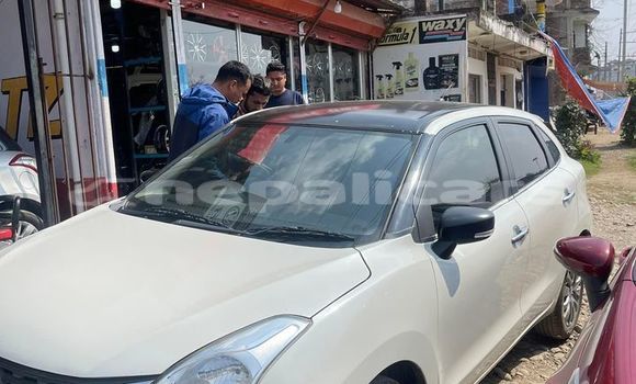 Buy Used Suzuki Baleno White Car in Bharatpur in Narayani Buy Used Suzuki Baleno White Car in Bharatpur in Narayani