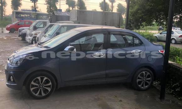 Buy Used Hyundai Accent Blue Car in Bharatpur in Narayani Buy Used Hyundai Accent Blue Car in Bharatpur in Narayani