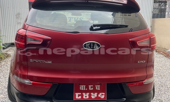 Buy Used Kia Sportage Red Car in Lalitpur in Bagmati Buy Used Kia Sportage Red Car in Lalitpur in Bagmati