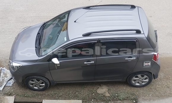 Buy Used Suzuki Celerio Brown Car in Butwal in Lumbini