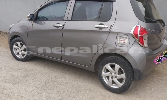 Buy Used Suzuki Celerio Brown Car in Butwal in Lumbini Buy Used Suzuki Celerio Brown Car in Butwal in Lumbini