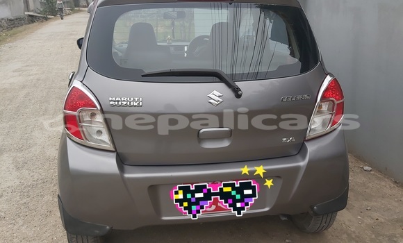 Buy Used Suzuki Celerio Brown Car in Butwal in Lumbini Buy Used Suzuki Celerio Brown Car in Butwal in Lumbini