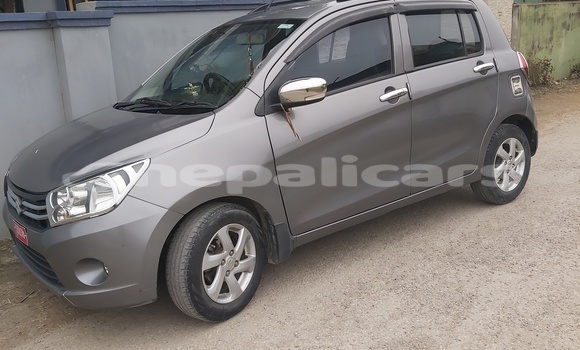 Buy Used Suzuki Celerio Brown Car in Butwal in Lumbini Buy Used Suzuki Celerio Brown Car in Butwal in Lumbini