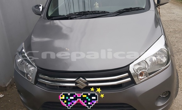 Buy Used Suzuki Celerio Brown Car in Butwal in Lumbini Buy Used Suzuki Celerio Brown Car in Butwal in Lumbini