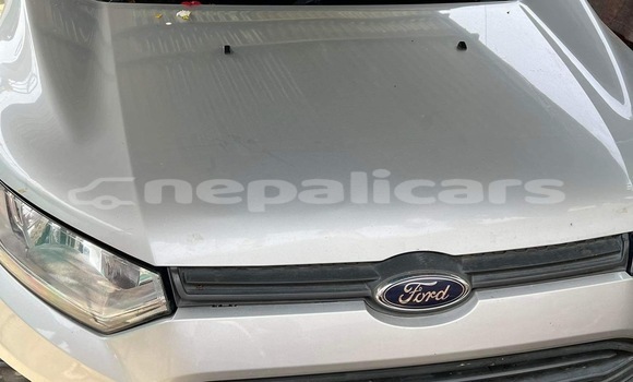 Buy Used Ford EcoSport Silver Car in Janakpur in Janakpur