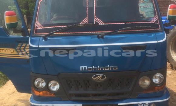 Buy Used Nissan Evalia Blue Truck in Lalitpur in Bagmati