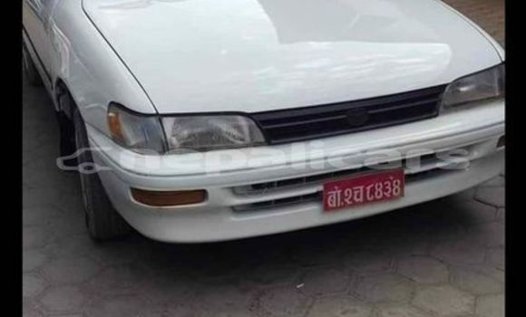 Buy Used Toyota Corolla White Car in Kathmandu in Bagmati