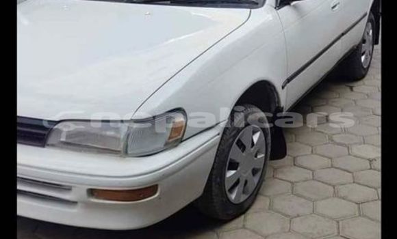 Buy Used Toyota Corolla White Car in Kathmandu in Bagmati Buy Used Toyota Corolla White Car in Kathmandu in Bagmati
