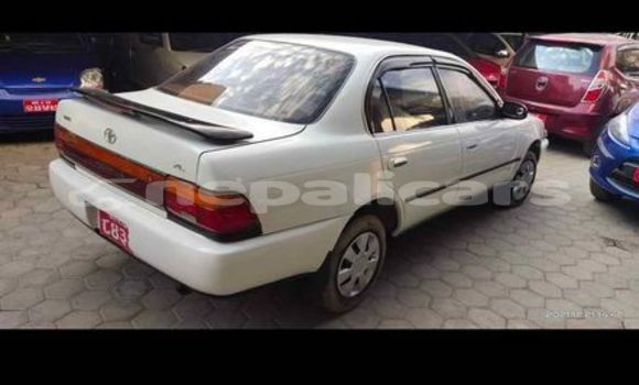 Buy Used Toyota Corolla White Car in Kathmandu in Bagmati Buy Used Toyota Corolla White Car in Kathmandu in Bagmati