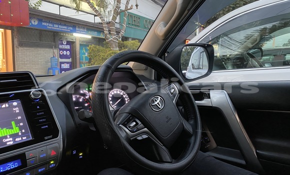 Buy New Toyota Land Cruiser Prado White Car in Kathmandu in Bagmati