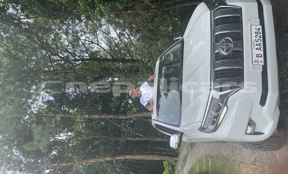 Buy New Toyota Land Cruiser Prado White Car in Kathmandu in Bagmati Buy New Toyota Land Cruiser Prado White Car in Kathmandu in Bagmati