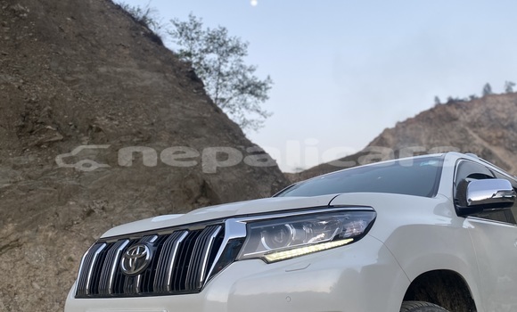 Buy New Toyota Land Cruiser Prado White Car in Kathmandu in Bagmati Buy New Toyota Land Cruiser Prado White Car in Kathmandu in Bagmati