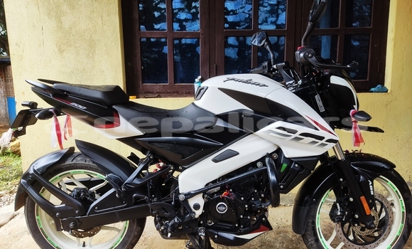 Buy Used Bajaj PULSAR White Bike in Kathmandu in Bagmati Buy Used Bajaj PULSAR White Bike in Kathmandu in Bagmati