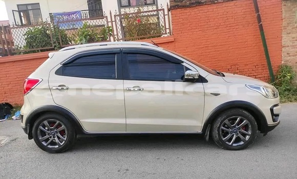 Buy Used Ford Freestyle Beige Car in Kathmandu in Bagmati