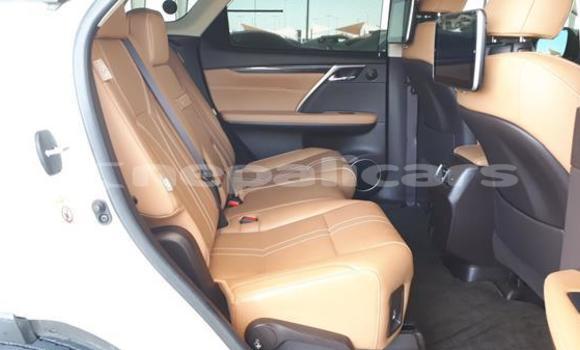 Buy Used Lexus RX 350 White Car in Bhaktapur in Bagmati Buy Used Lexus RX 350 White Car in Bhaktapur in Bagmati