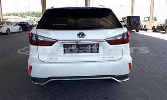 Buy Used Lexus RX 350 White Car in Bhaktapur in Bagmati Buy Used Lexus RX 350 White Car in Bhaktapur in Bagmati