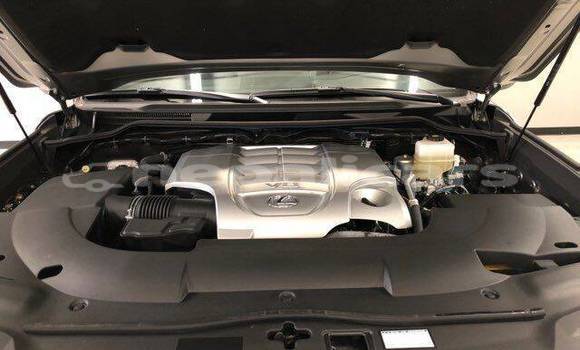 Buy Used Lexus LX 570 Brown Car in Amargadhi in Mahakali Buy Used Lexus LX 570 Brown Car in Amargadhi in Mahakali