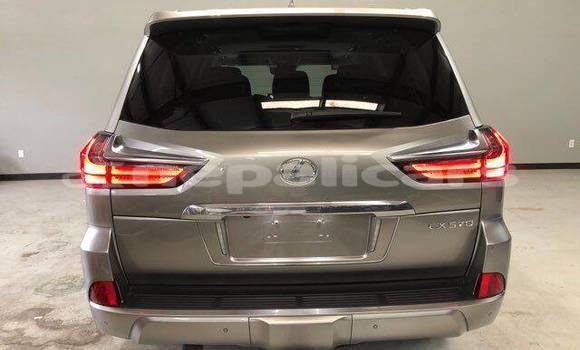 Buy Used Lexus LX 570 Brown Car in Amargadhi in Mahakali Buy Used Lexus LX 570 Brown Car in Amargadhi in Mahakali