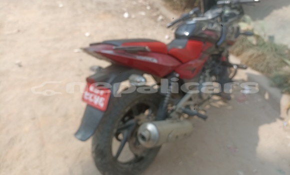 Buy Used Bajaj PULSAR Black Bike in Kathmandu in Bagmati Buy Used Bajaj PULSAR Black Bike in Kathmandu in Bagmati